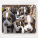 beagle puppies mouse pad mousepads