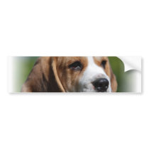 Beagle Puppy Bumper Sticker