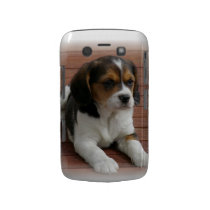 Beagle Puppy Dog Blackberry Bold Case