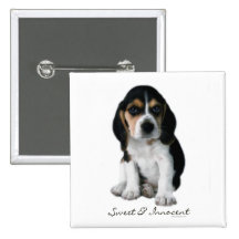 Beagle Puppy Dog Button