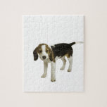Beagle Puppy Dog Jigsaw Puzzles