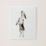 Beagle Puppy Jigsaw Puzzles