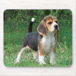 Beagle Puppy Mouse Pads
