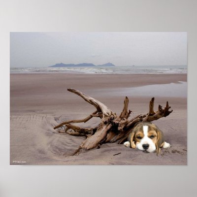 beagle poster