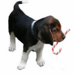 Beagle Puppy Ornament Photo Cutout