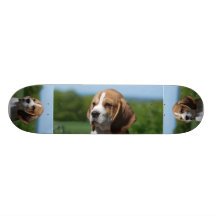 Beagle Puppy Skateboard