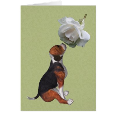 Beagle Puppy White Rose Blank Note Card by SmilinEyesTreasures