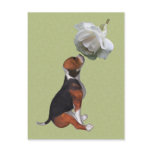 Beagle Puppy White Rose Cute Dog Postcard