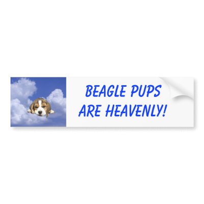 Beagle Pups Are Heavenly Bumper Sticker by normagolden