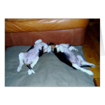 Beagle Pups Lounging Greeting Card