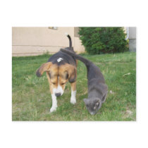 Beagle & Russian Blue - Best Friends Postcard