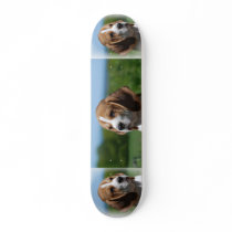 Beagle Skateboard