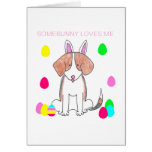 Beagle Somebunny Loves Me Cards