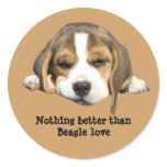 Beagle Sticker