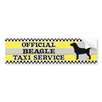 Beagle Taxi Service Bumper Sticker by MenagerieMayhem