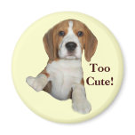 Beagle Too Cute Magnet