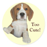 Beagle Too Cute Sticker