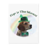 Beagle Top of the Morn Postcards