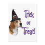 Beagle Trick Post Cards