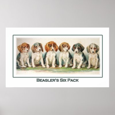 Beagler's  Six Pack Poster by Classic_Cat