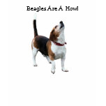 Beagles Are A Howl Dog Photo Funny T-Shirt