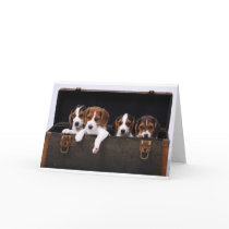 Beagles Greeting Cards