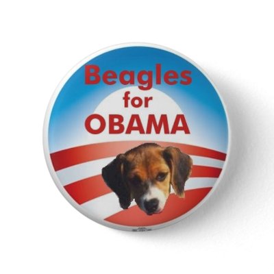 Beagles for Obama Pinback Button by cyberbeagle