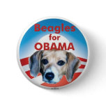 Beagles for Obama Pinback Button