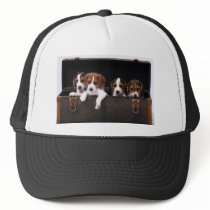 Beagles Hats