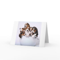 Beagles in Bucket Cards