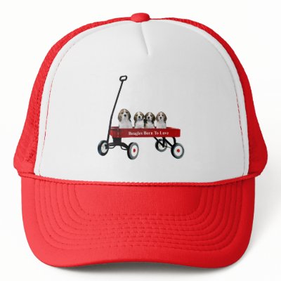 Beagles In Wagon Hat by normagolden