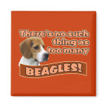 BEAGLES MAGNET
