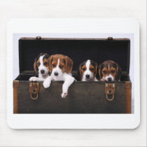 Beagles Mouse Pad