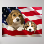 Beagles Print