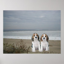 Beagles Print