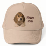 Beagles Rule Hat