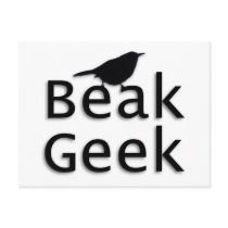 Beak Geek-- Wren Post Cards