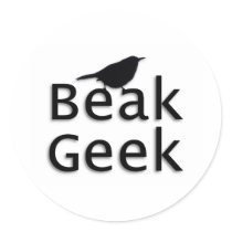 Beak Geek-- Wren Stickers