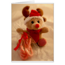Beanie reindeer & candy cane greeting cards