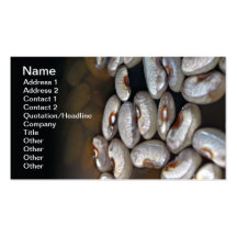Beans Business Card Templates