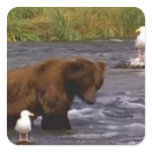 Bear and Seagulls - sticker