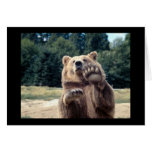 Bear Attack! Cards
