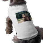 Bear Attack! Dog Clothing