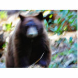 Bear Attack Photo Sculpture