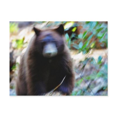 Bear Attack Postcard by lifesphere