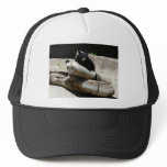bear,black 2 hat