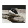 bear,black 2 postcard