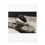 bear,black 2 postcards