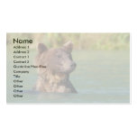 bear business card templates