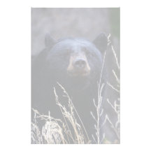 bear custom stationery